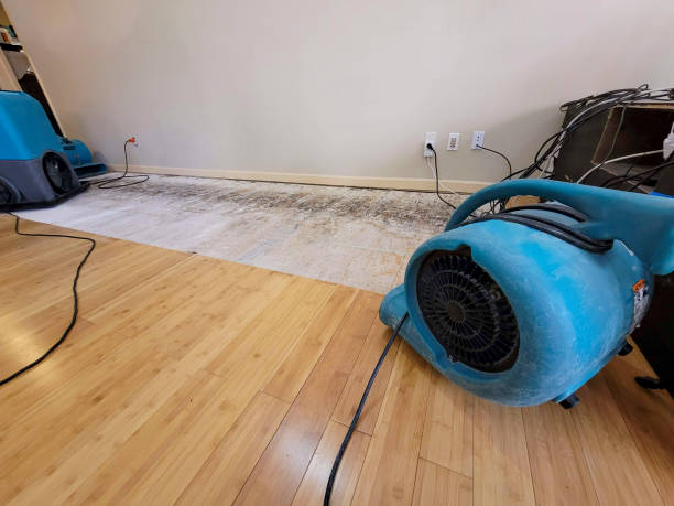 Reliable Basement Flood Cleanup contractor in Elmhurst, IL by Hirex Water Damage
