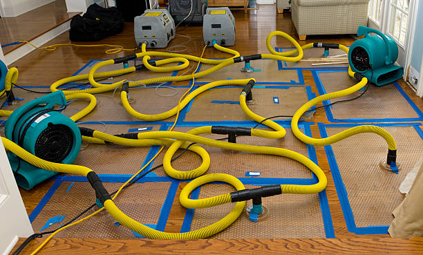 Professional Basement Flood Cleanup technician working in Elmhurst, IL